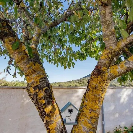 House Matan Tisno